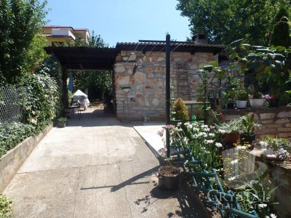 Hiša Novigrad 15