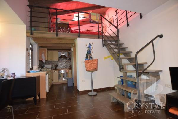 Apartma v centru Novigrada 1