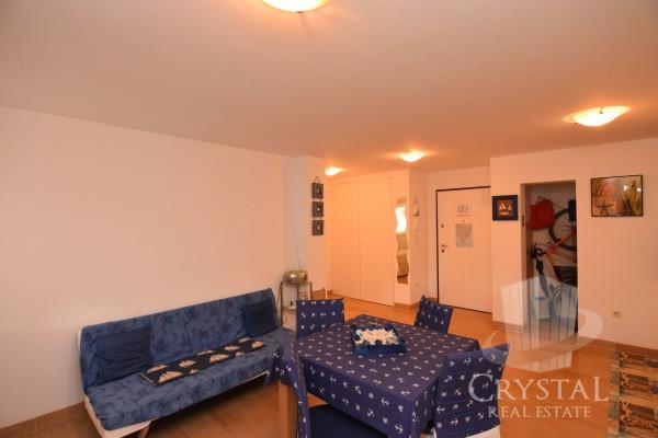 Apartma v centru Novigrada 5
