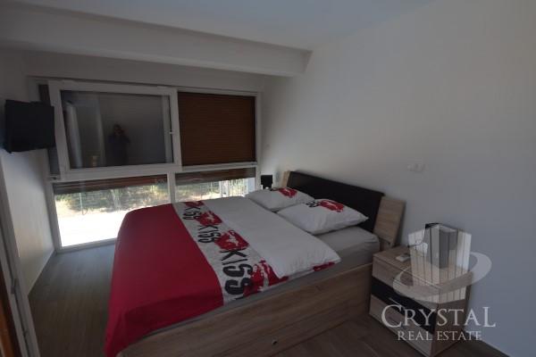 Vila Novigrad 40