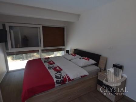 Vila Novigrad 40