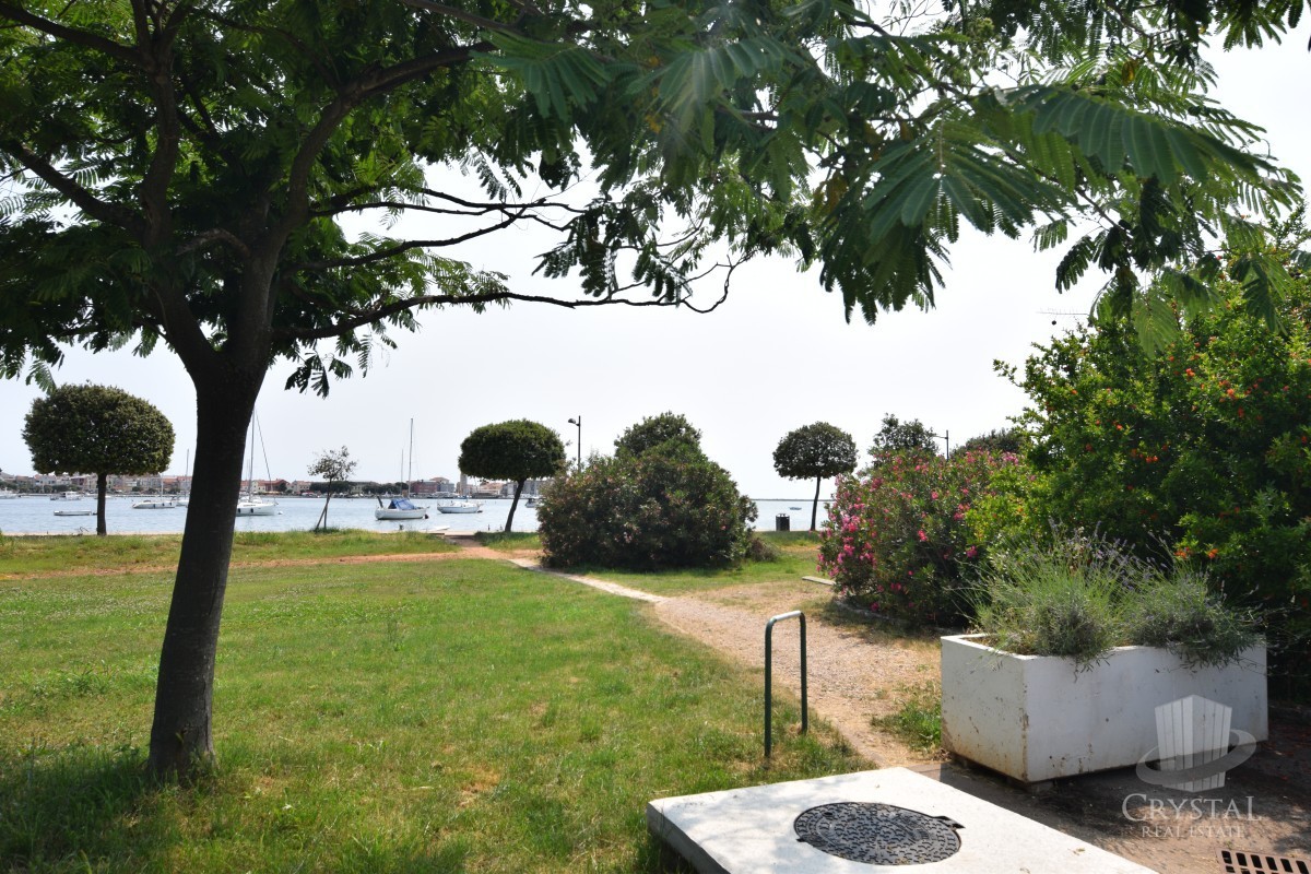 Appartamento a Punta 9