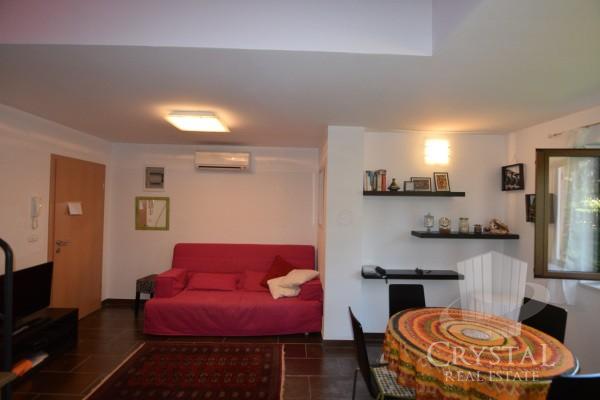 Apartma v centru Novigrada 2