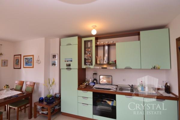 Stanovanje Novigrad 8