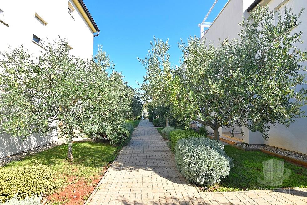 Stanovanje Novigrad 3