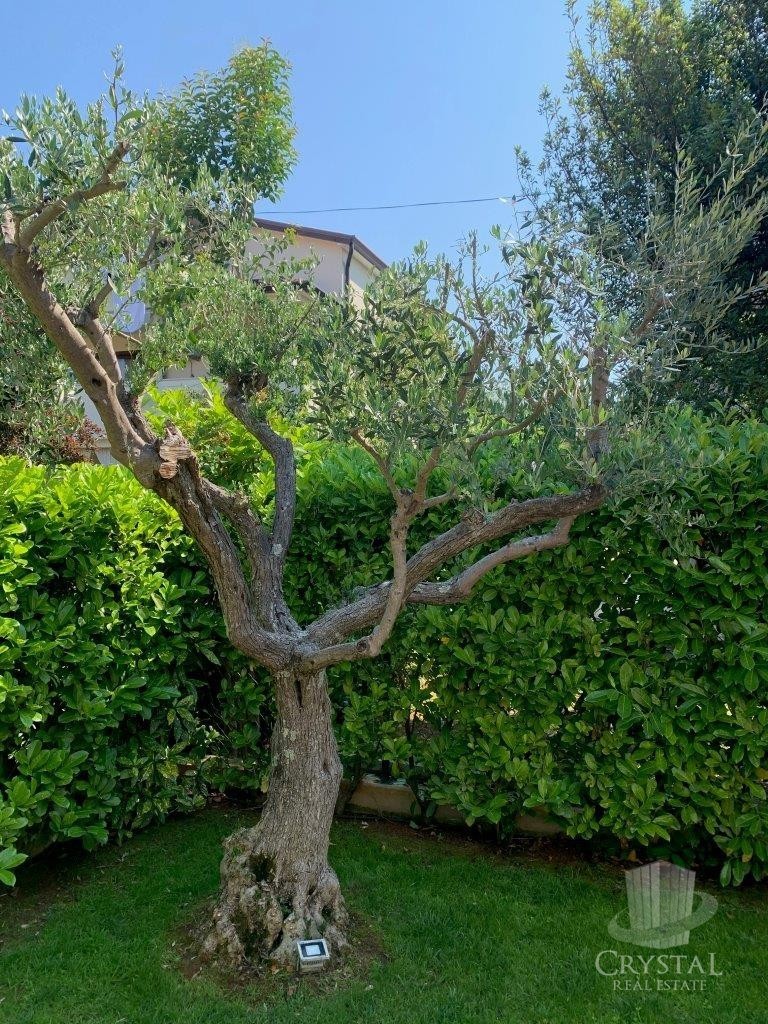 Hiša Novigrad 33