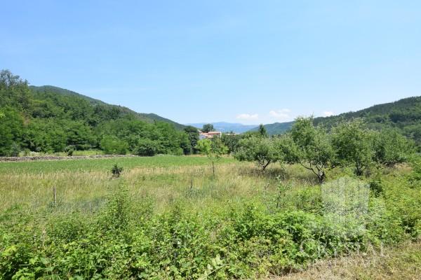 Hiša Motovun 13