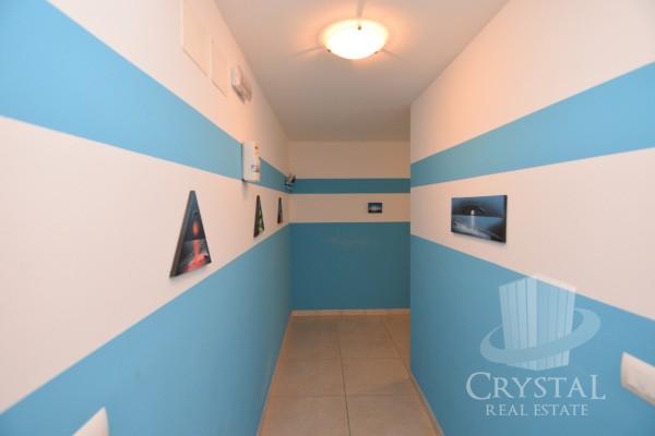 Apartma v centru Novigrada 14