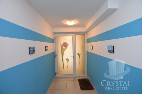 Apartma v centru Novigrada 13