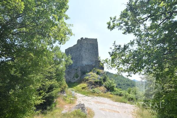 Hiša Motovun 14